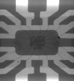 X-ray image of Chip, Gold Wire Bonds and Uneven Adhesive Causing Failure