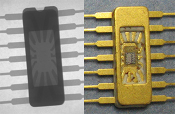 Chip X-ray Image and Photograph 