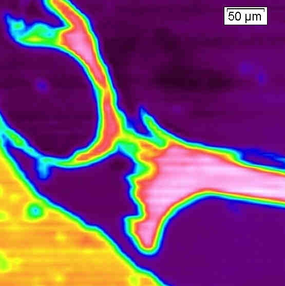 FTIR map polyethylene in atrificial cork