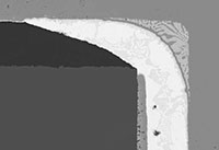 SEM Image of Metallurgical Polished Cross-section Showing different Phases