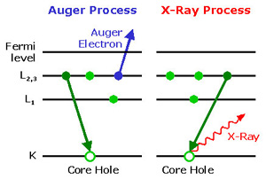 Auger electron and X-ray creation processes