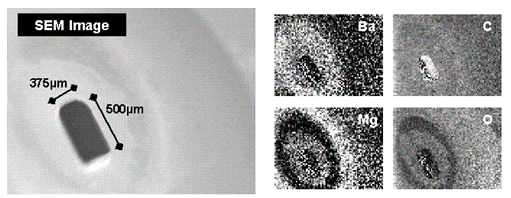 SEM and Auger chemical maps of an evaporated layer