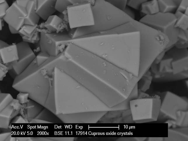 SEM of Cu2O water pipe internal corrosion product