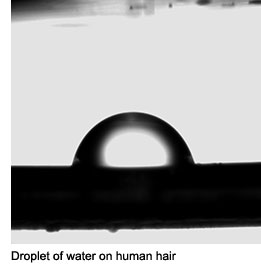 Droplet of water on human hair