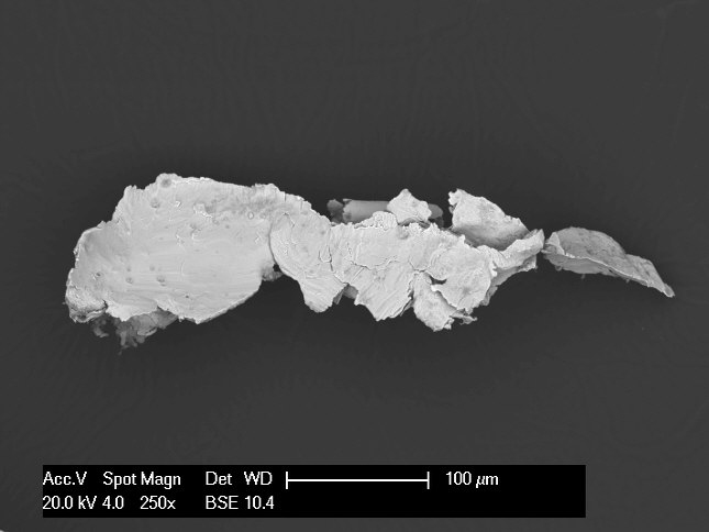 SEM Particle Analysis BSE in dust