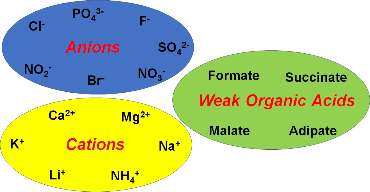 Anions Cations and Weak Organic Acids by IC