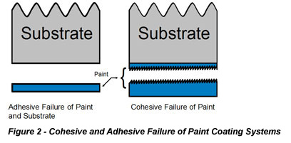 Cohesive and Adhesive Failure of Paint Coating Systems