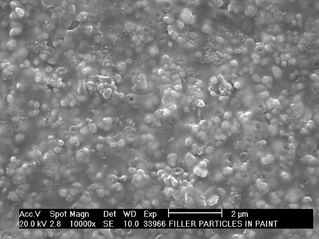 SEM secondary electron image of fillers in a paint sample