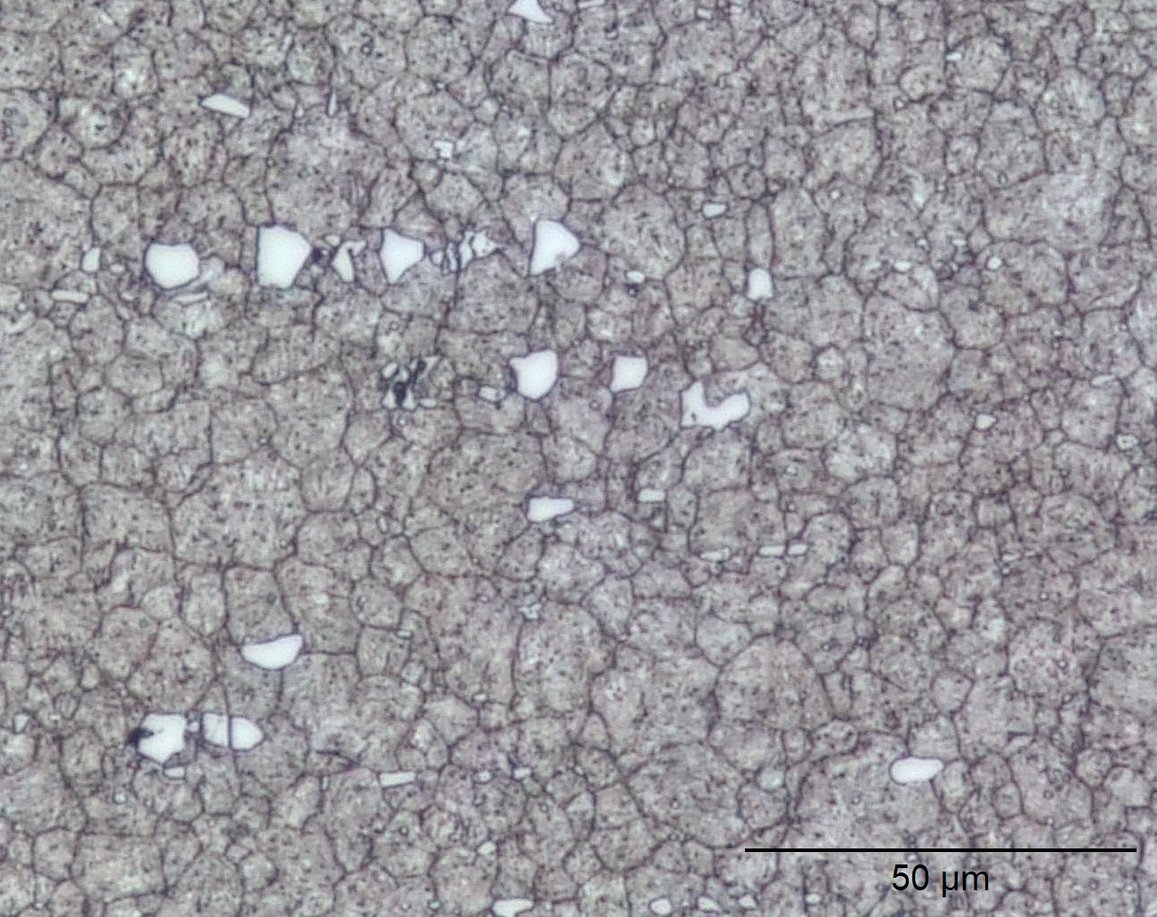 Metallography of jigsaw blade showing phases