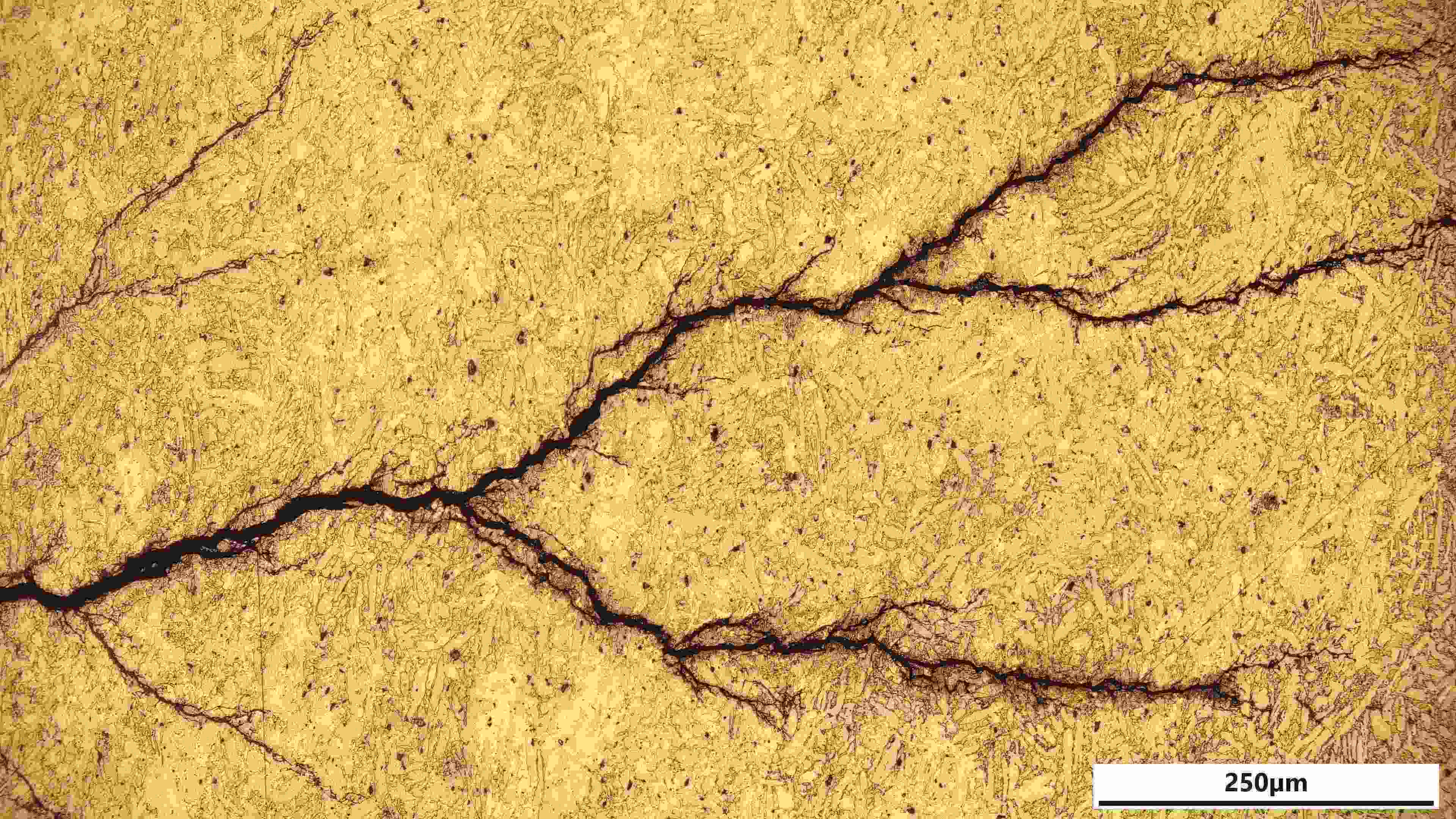 Brass Stress Corrosion Cracking