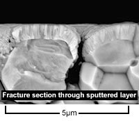 SEM Image of Fracture Cross-section through Coated Porous Metal